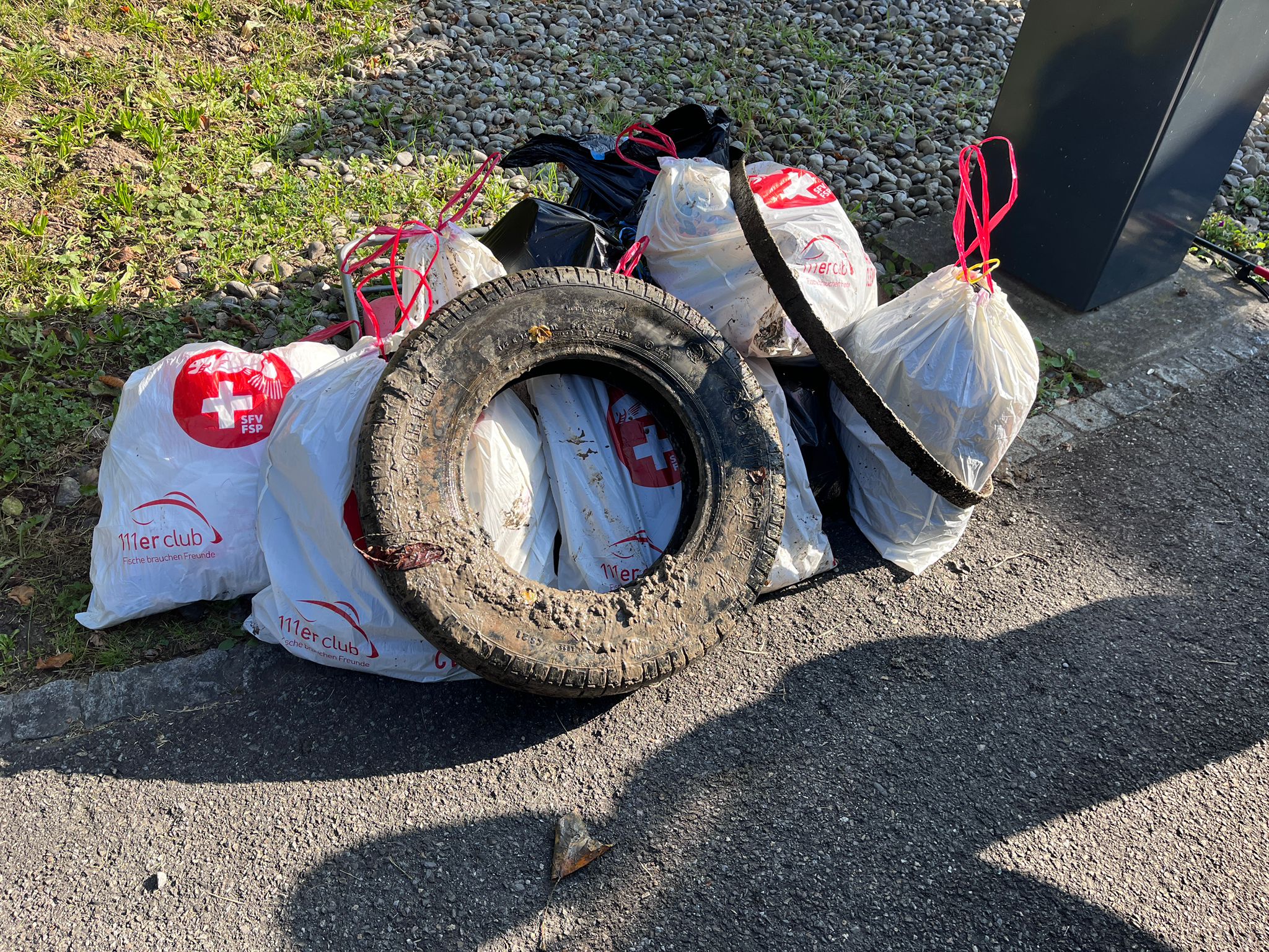 Erfolgreiche Aktion: Saubere Aareufer bei bestem Herbstwetter